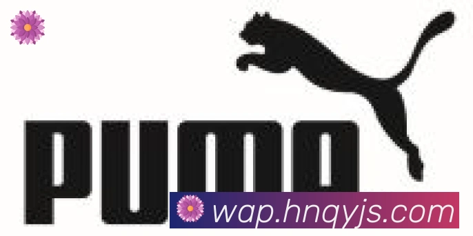 leyu乐鱼官方网站合作伙伴